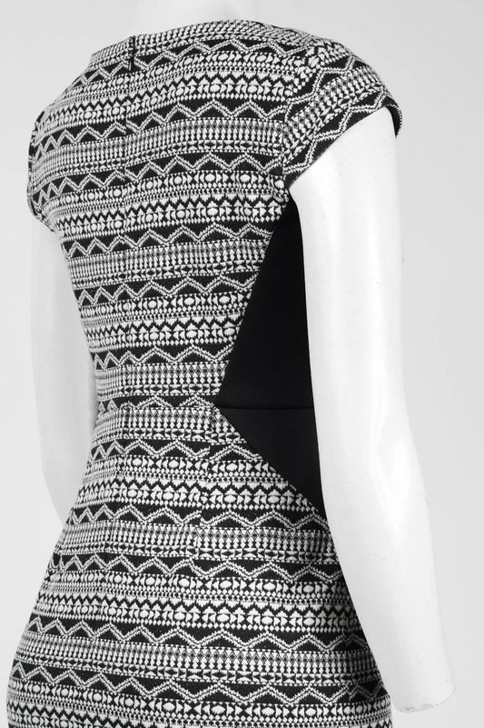 Adrianna Papell Day Cap Sleeve Knit Dress (Petite)