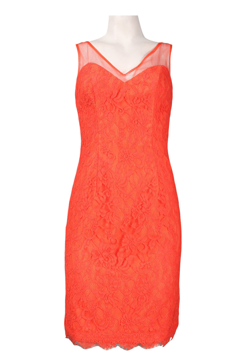 Monique Lhuillier Illusion V-Neck Lace Dress