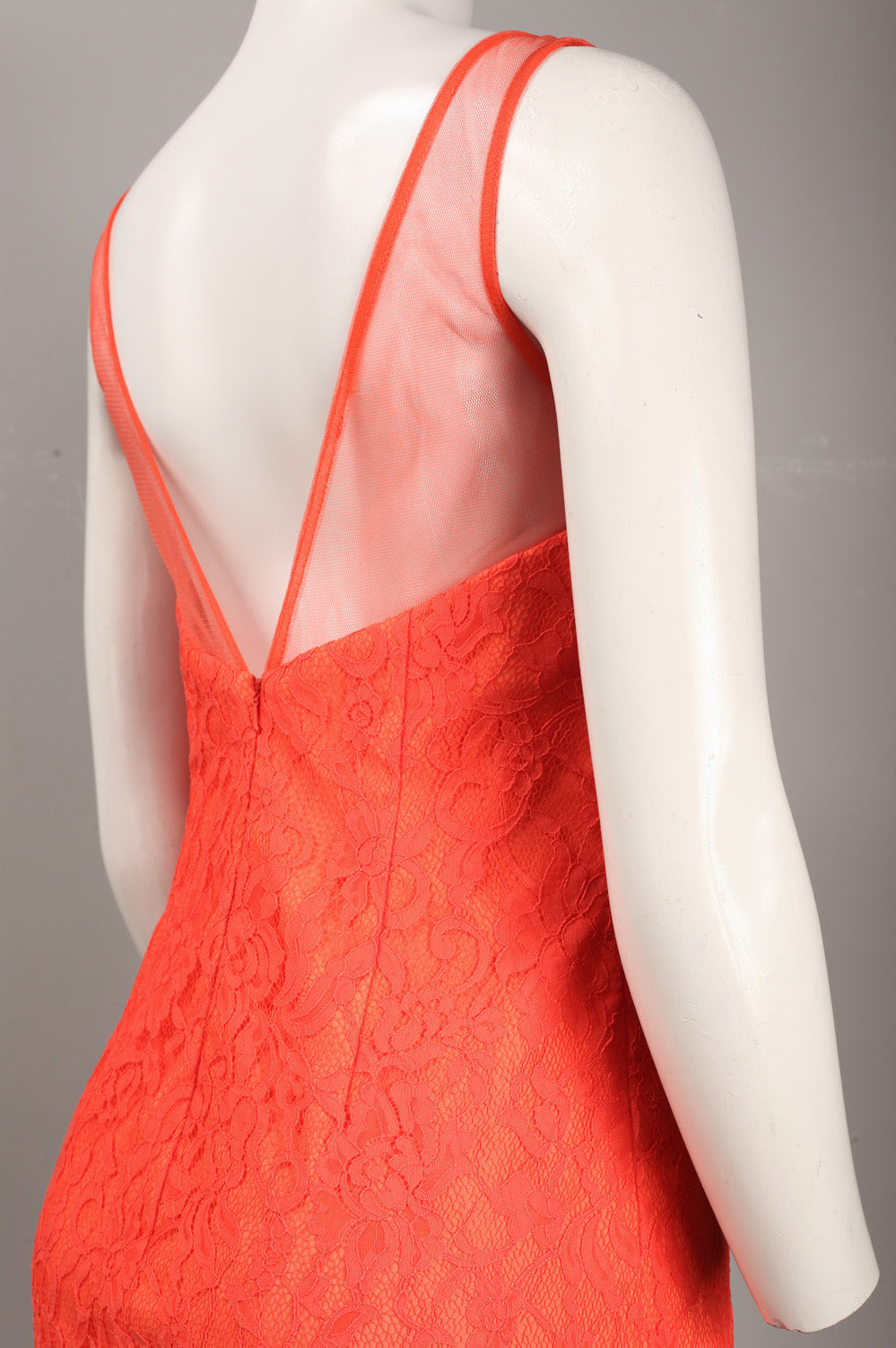 Monique Lhuillier Illusion V-Neck Lace Dress