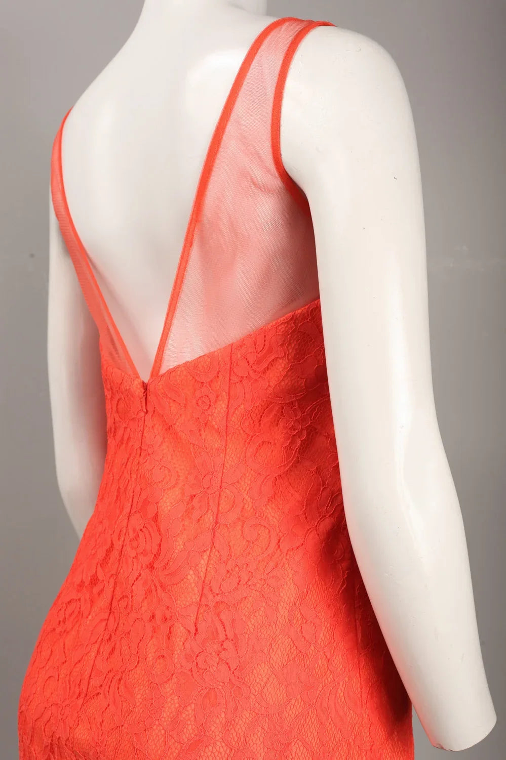 Monique Lhuillier Illusion V-Neck Lace Dress