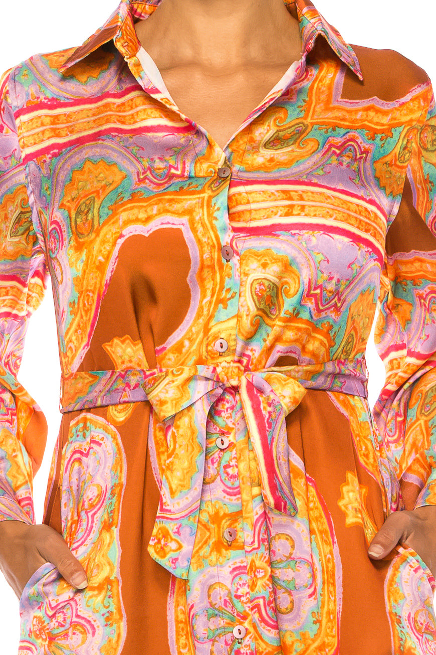 Paparazzi Abstract Print Long Sleeve Shirt Dress