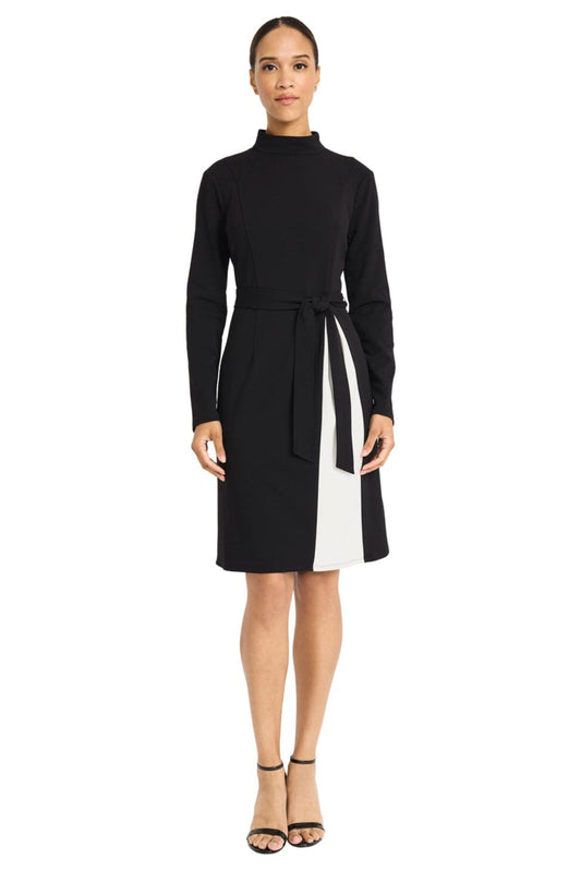 Maggy London Color Block Long Sleeve A-Line Dress