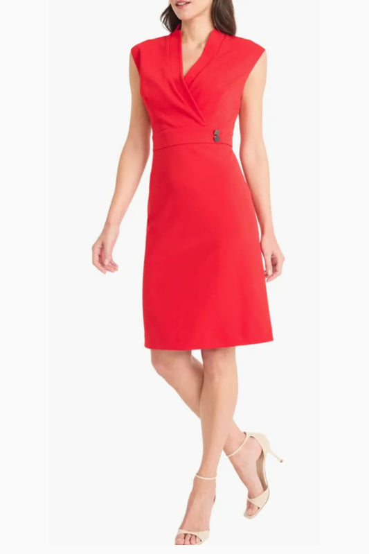 Maggy London V-Neckline Short Day Dress