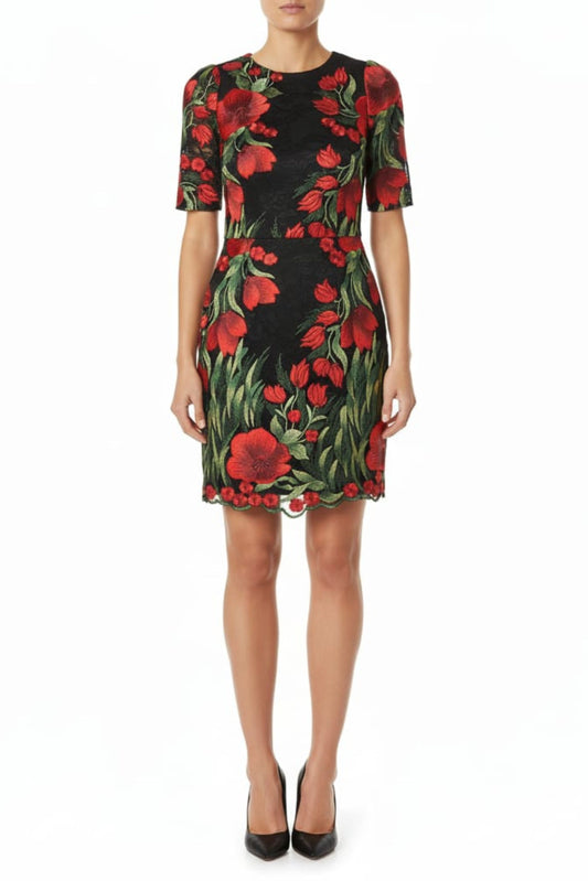 Aidan Mattox Floral Embroidery Lace Party Dress