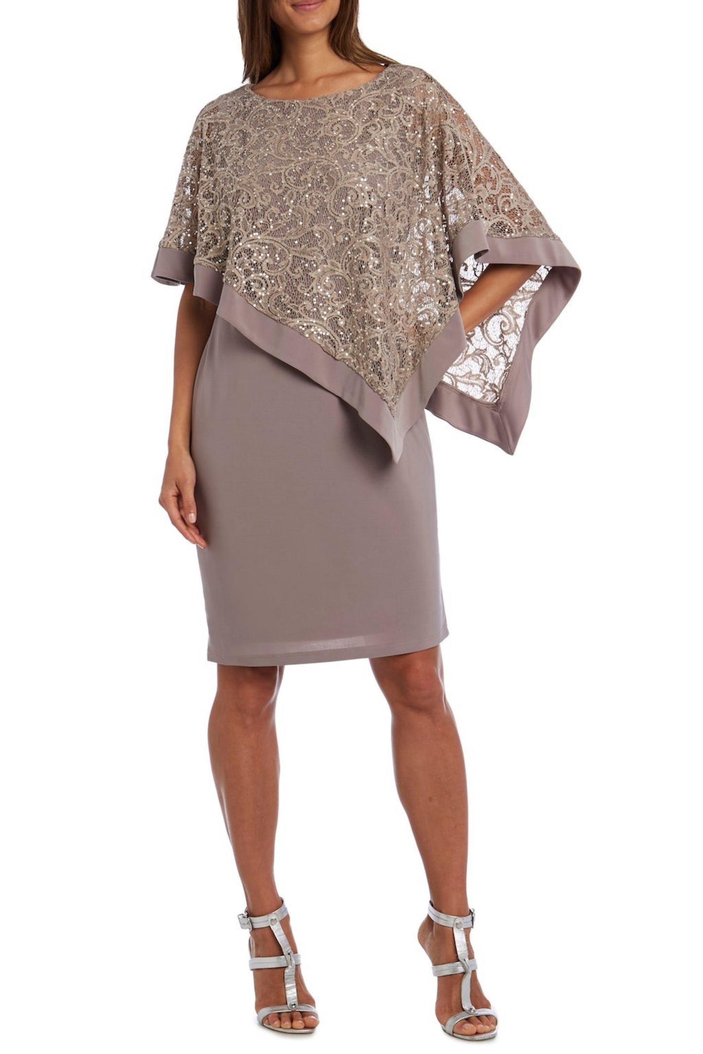 R&M Richards Sleeveless Lace Overlay Sheath Dress