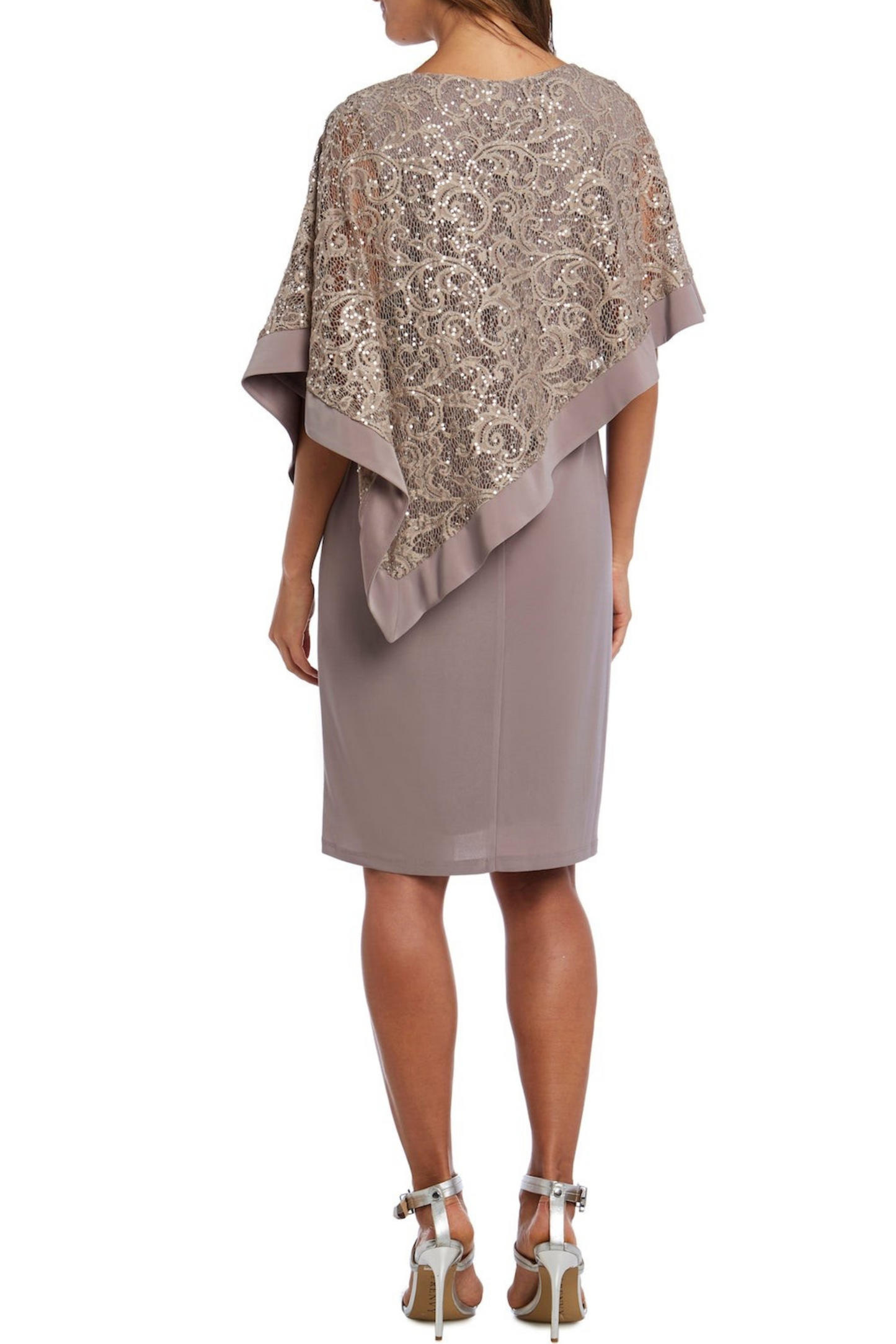 R&M Richards Sleeveless Lace Overlay Sheath Dress