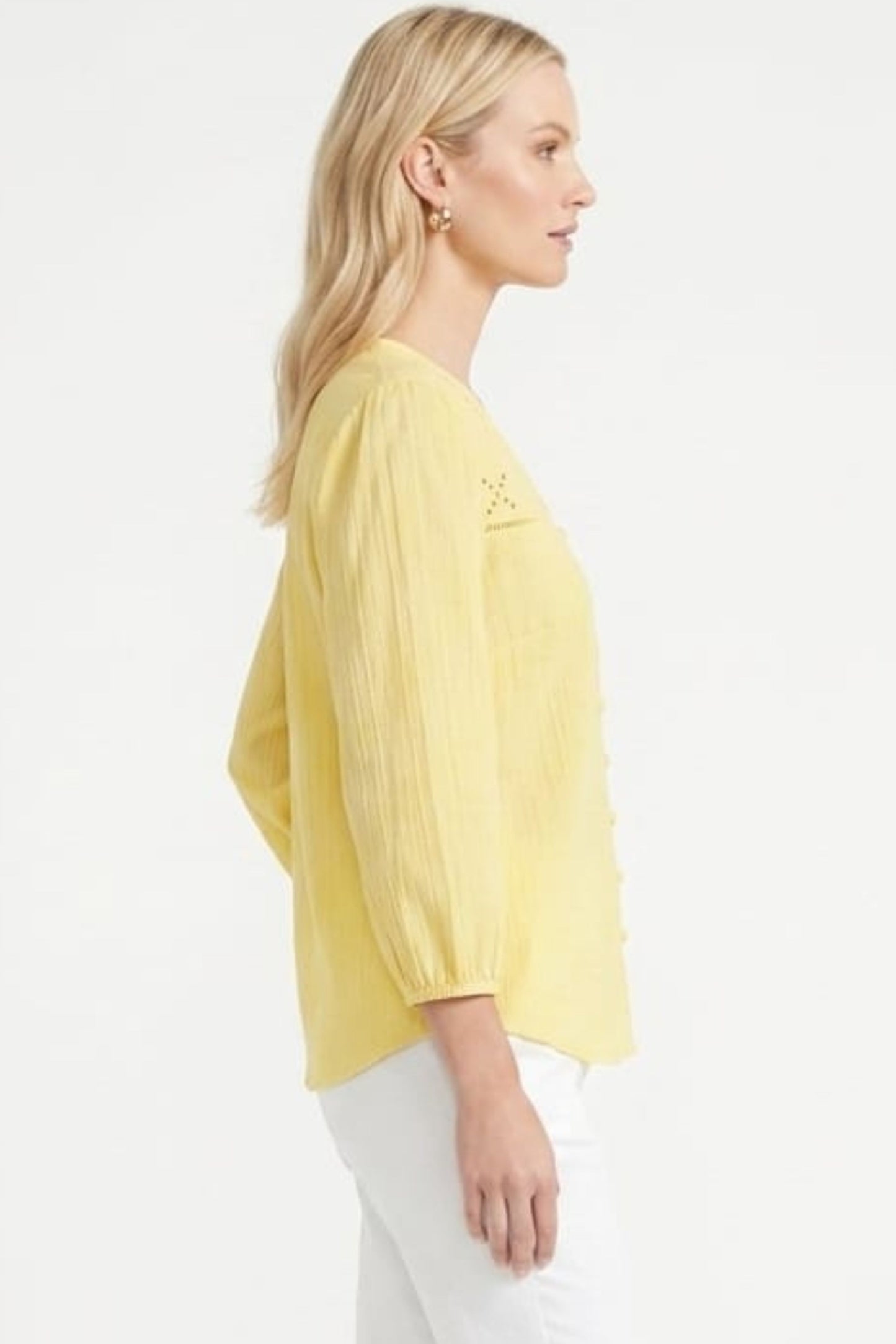 Zac & Rachel Eyelet Embroidered V-Neck Blouse