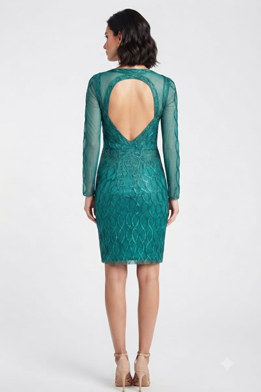 Sue Wong Long Sleeve Embroidered Open-Back Dress